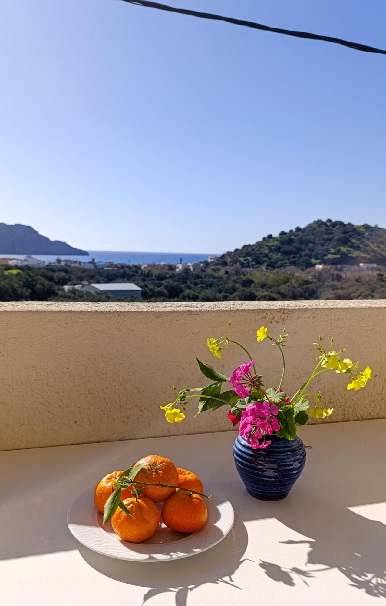 Antonis Apts, Physio Fitness Retreats プラキアス エクステリア 写真